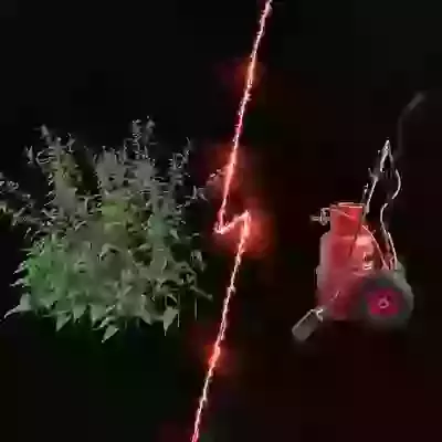 Weed Burner